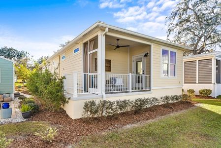 New construction Single-Family house 12176 Grand Oak Lane, Wildwood, FL 34484 - photo 33 33