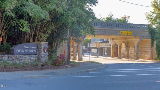 New construction Condo house 410 Gaston Park Ln, Unit 100 Lot 147, Wake Forest, NC 27587 null- photo 10 10