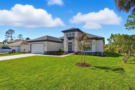 New construction Single-Family house 93 Cochise Ct, Palm Coast, FL 32137 - image
