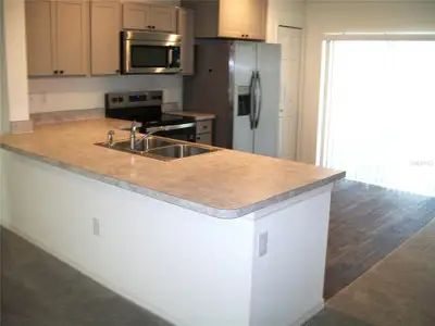 New construction Single-Family house 4061 Sw 133Rd Ln, Ocala, FL 34473 plan Palm - image 4