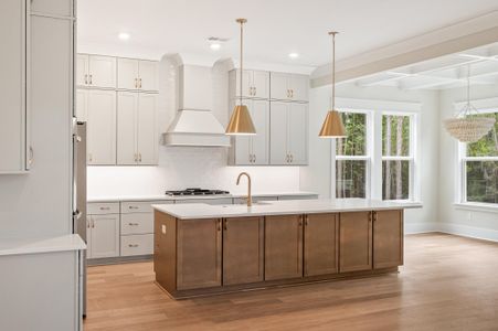 New construction Single-Family house 2508 Annie Aiden Ln, Charleston, SC 29414 plan Davis - image 8