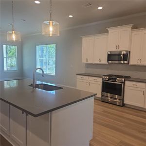 New construction Single-Family house 887 Bessie Ct, Loganville, GA 30052 - image 9