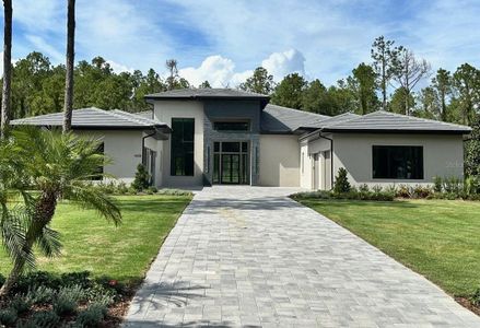 New construction Single-Family house 16102 Pendio Dr, Montverde, FL 34756 null- photo 0