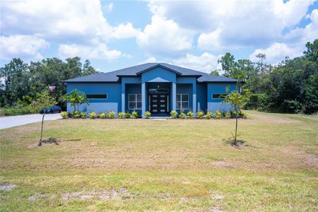 New construction Single-Family house 19529 Seaview Street, Orlando, FL 32833 - photo 0