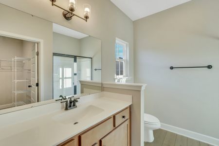 New construction Single-Family house 129 Hanover Pl, Richmond Hill, GA 31324 plan Harbor II - image 16