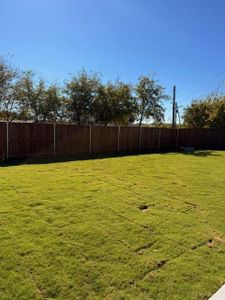 New construction Single-Family house 2400 Galaxy Trl, Venus, TX 76009 - image 19