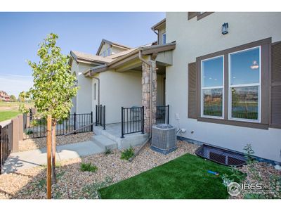 New construction Townhouse house 6245 Vernazza Way, Unit 2, Windsor, CO 80550 - photo 0