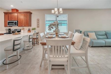 New construction Single-Family house 12591 Vander Wy, New Port Richey, FL 34654 - image 11