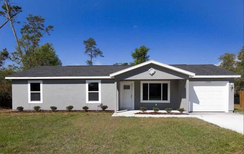 New construction Single-Family house 15540 Ne 5Th St, Williston, FL 32696 - image