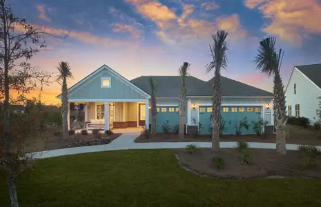 New construction Single-Family house Charleston, SC 29492 null- photo 0