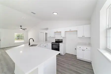 New construction Single-Family house 2056 Sw Sands Pt, Dunnellon, FL 34431 - image 4