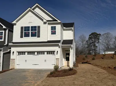 New construction Single-Family house 22 Trace Blf, Dawsonville, GA 30534 plan Southampton - image