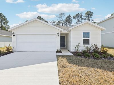 New construction Single-Family house 15 Dilly Ct, Palm Coast, FL 32137 plan Davenport - image