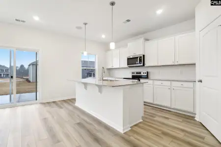 New construction Single-Family house 570 Griffon Dr, Chapin, SC 29036 plan Harper II - image