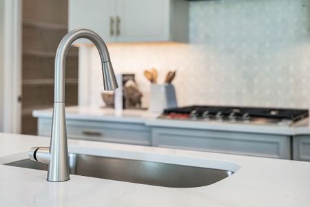 New construction Single-Family house 847 Emerald Grove Dr, Apopka, FL 32703 plan Paxton - image 13