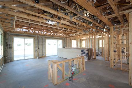 New construction Single-Family house 20050 Oriana Loop, Land O' Lakes, FL 34638 Santa Monica- photo 47 47