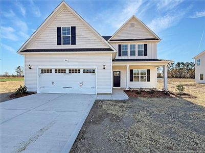 New construction Single-Family house 300 Arabia Rd, Raeford, NC 28315 - image