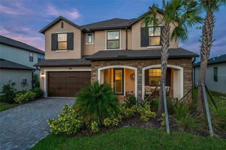 New construction Single-Family house 3952 Aldea Wy, Wesley Chapel, FL 33543 - image