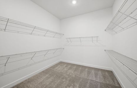 New construction Single-Family house 20024 Nickel Trl, Alva, FL 33920 plan Stellar - image 14