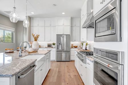 New construction Single-Family house 760 W Pelican Dr, Queen Creek, AZ 85140 plan Redwing - image 11