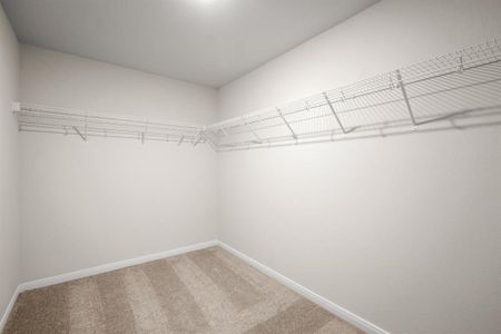 Walk-In Closet.