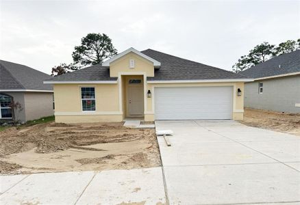 New construction Single-Family house 5505 Ocean Breeze Dr, Spring Hill, FL 34609 - image