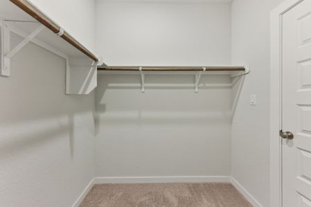 New construction Single-Family house 3216 Canyon River Ln, Georgetown, TX 78628 plan Hampton - image 17