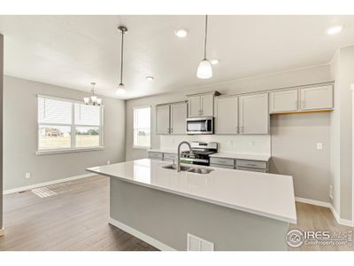 New construction Single-Family house 5744 Fallen Branch Dr, Fort Collins, CO 80528 Pine - photo 10 10