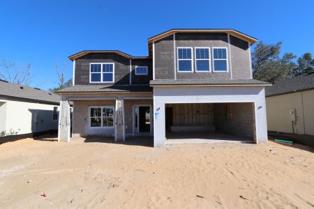 New construction Single-Family house 12008 Hilltop Farms Dr, Dade City, FL 33525 Alenza- photo 69 69