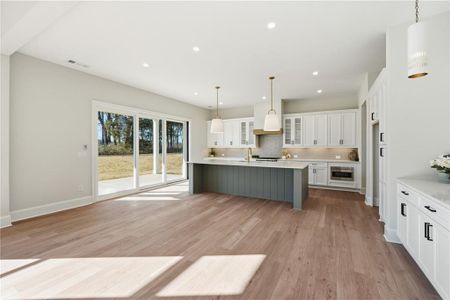 New construction Single-Family house 158 Palisade Dr, Rydal, GA 30171 - image 13