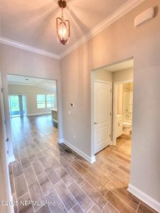 New construction Single-Family house 213 Dovetail Cir, Saint Augustine, FL 32095 null- photo 5 5