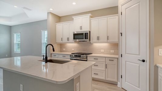 New construction Single-Family house 2143 Sylvester Palm Ln, Lakewood Ranch, FL 34212 plan Tidewinds 2 - image 10