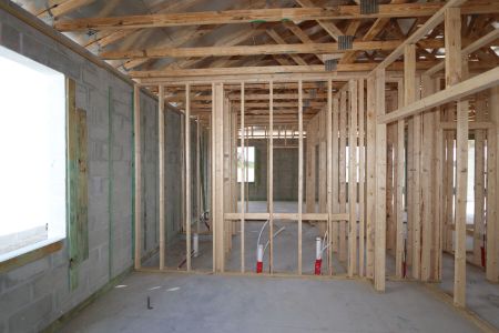 New construction Single-Family house 3142 Adams Cross Dr, Zephyrhills, FL 33540 Picasso- photo 14 14