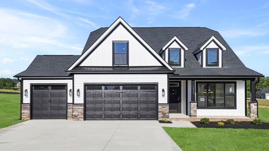 New construction Single-Family house 314 Glarside Ct, Woodruff, SC 29388 plan Vail - image