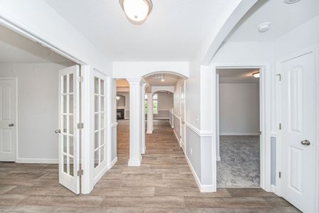 Weston by Enchanted Homes in Campobello - image 9