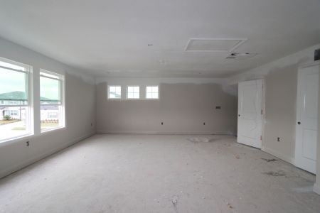 New construction Single-Family house 5762 Jeffries Way, Wesley Chapel, FL 33545 Newport II Bonus- photo 108 108