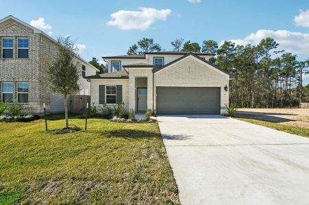New construction Single-Family house 18330 Landing Meadows Ln, New Caney, TX 77357 - image