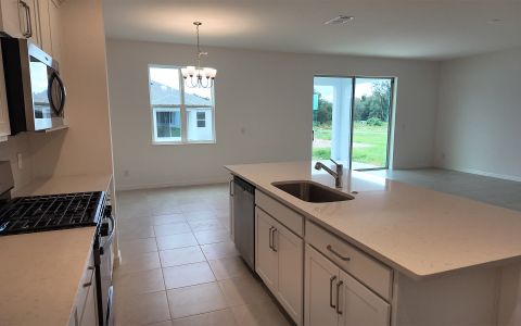 New construction Single-Family house 6888 Spanish Imperial St, Howey-in-the-Hills, FL 34737 plan Gilchrist - image 8
