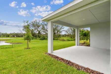 New construction Single-Family house 10648 Crescent Creek Xing, Parrish, FL 34219 plan The Benton - image