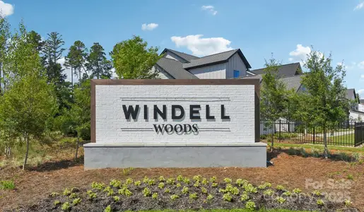 New construction Single-Family house 148 Windy Dell Dr, Tega Cay, SC 29708 Willow Exterior C- photo 41 41