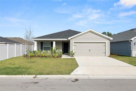 New construction Single-Family house 1119 Aruba Ave, Mulberry, FL 33860 - image