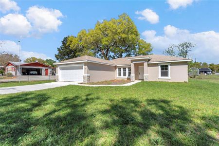 New construction Single-Family house 8677 Se 157Th Pl, Summerfield, FL 34491 - image
