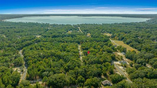 New construction Single-Family house 14 Guava Terrace Trce, Ocklawaha, FL 32179 null- photo 33 33