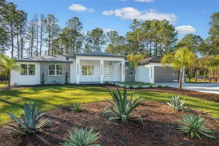 New construction Single-Family house 30626 Quince Ave, Eustis, FL 32736 - image