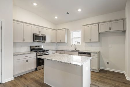 New construction Single-Family house 7067 Fairview Falls Dr, Chesnee, SC 29323 plan Dorchester - image 7