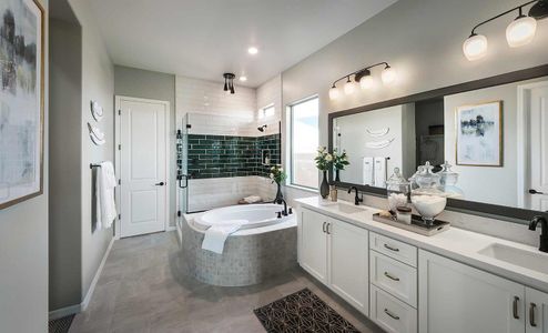 Sierra at Alamar by David Weekley Homes in Avondale - photo 37 37