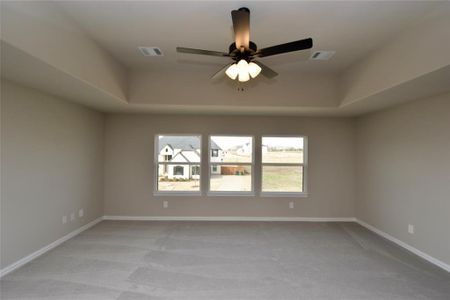 New construction Single-Family house 3940 Wilderness Dr, Prosper, TX 75078 - image 19