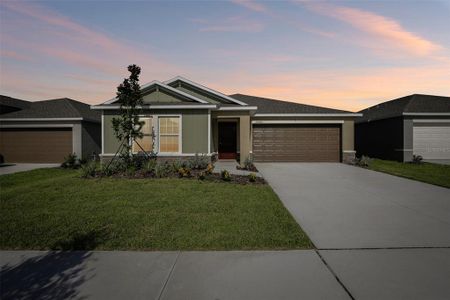 New construction Single-Family house 15005 Emerson Field St, Wimauma, FL 33598 plan Dover - image