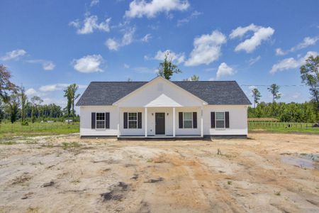 New construction Single-Family house 248 Braden Run, Holly Hill, SC 29059 - photo 0