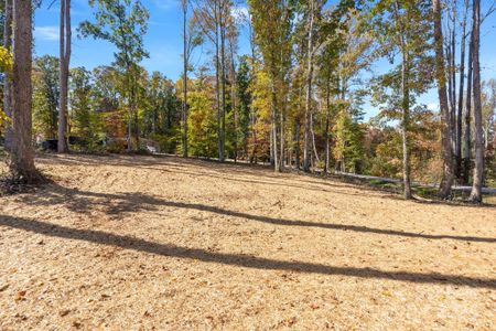 New construction Single-Family house 1128 Bethesda Rd, Statesville, NC 28677 null- photo 20 20